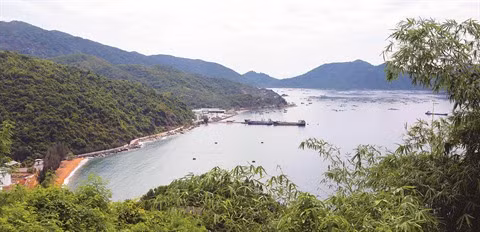 Phu Yên : Voyage grandeur nature en baie de Vung Rô ảnh 2