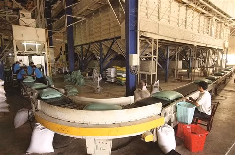 L’ASEAN, un marché difficile pour les produits vietnamiens ảnh 2