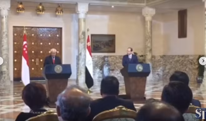 Singapour et Égypte renforcent leur coopération commerciale ảnh 1