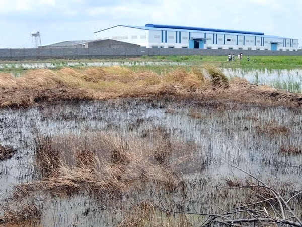 L’Allemagne partage ses expériences en matière de dépollution des sols contaminés aux métaux lourds ảnh 1