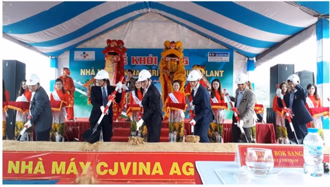 Le Vietnam leader de l’ASEAN pour la production des aliments pour animaux ảnh 1