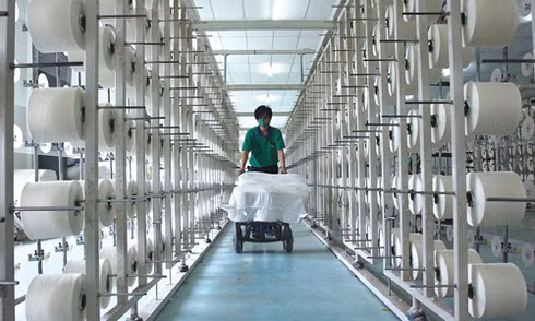 La Chine, premier importateur de fibres textiles du Vietnam ảnh 1