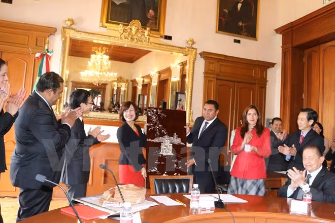Da Nang établit le jumelage avec la ville de Toluca (Mexique) ảnh 1