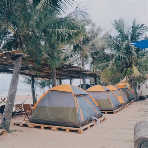 Tourisme : le camping à la plage, une nouveauté à découvrir ảnh 1 Tourisme : le camping à la plage, une nouveauté à découvrir ảnh 1