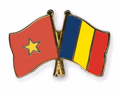 La Fête nationale de la Roumanie célébrée à Ho Chi Minh-Ville ảnh 1
