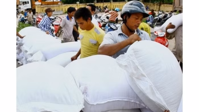 Octroi du riz et des vaccins à Thanh Hoa, à Ninh Thuân et à Cà Mau ảnh 1