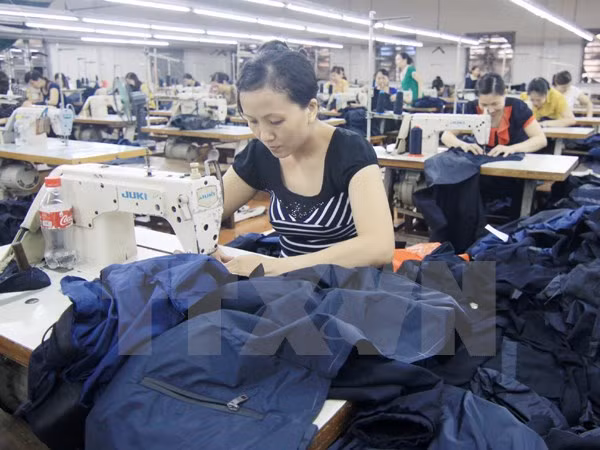 Le Vietnam parmi les 5 premiers exportateurs mondiaux de textile-habillement ảnh 1