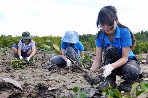  Efforts pour la protection de l'environnement ảnh 3