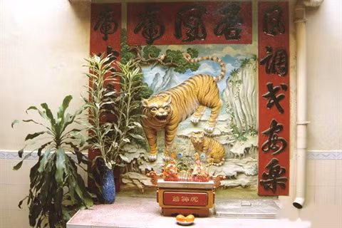 «Monsieur le Tigre» dans la culture du Sud ảnh 1