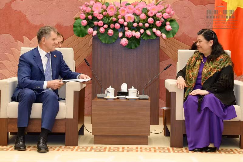 La Russie, une priorité de la politique extérieure vietnamienne ảnh 1