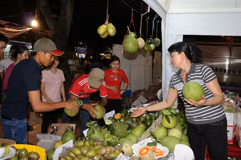 Ho Chi Minh-Ville: ouverture de la foire-exposition Hi-tech Agro 2015 ảnh 1