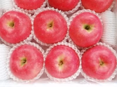 Les pommes japonaises font leur entrée au Vietnam ảnh 1