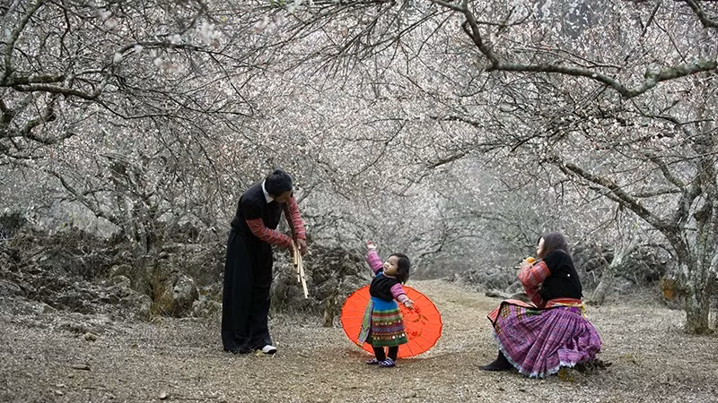 Développer le tourisme communautaire durable ảnh 1