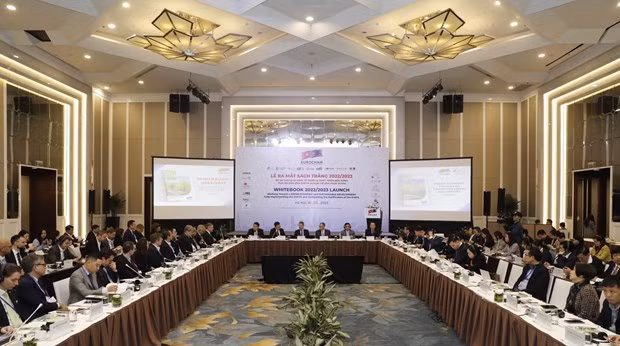 Le Vietnam fermement engagé dans une transition énergétique pour la croissance verte ảnh 2