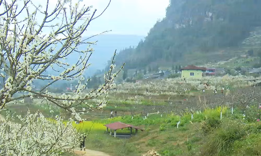 Lao Cai cherche à faire de Bac Ha une zone touristique spéciale ảnh 1