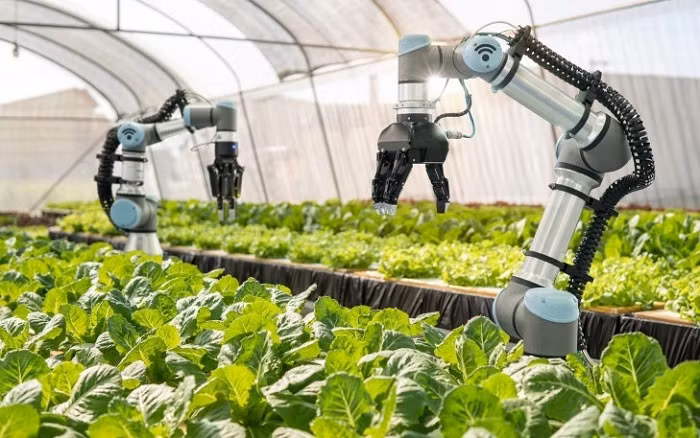 L’agriculture biologique high-tech améliore la qualité et réduit les coûts ảnh 2