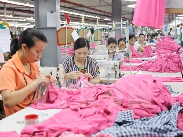 Le Vietnam renforce la réforme des relations professionnelles ảnh 1 Le Vietnam renforce la réforme des relations professionnelles ảnh 1