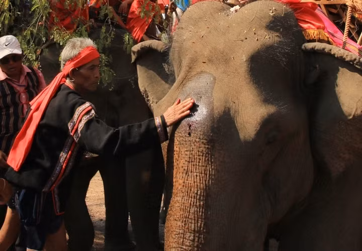 Cérémonie de prière pour la santé des éléphants des ethnies du Tây Nguyên ảnh 1