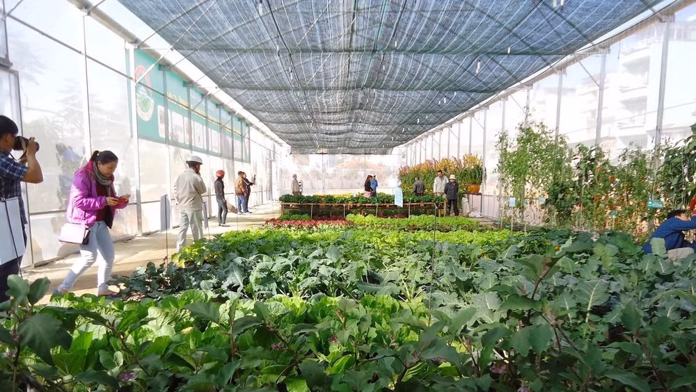 L’AFD assiste des projets non gouvernementaux au Vietnam ảnh 1