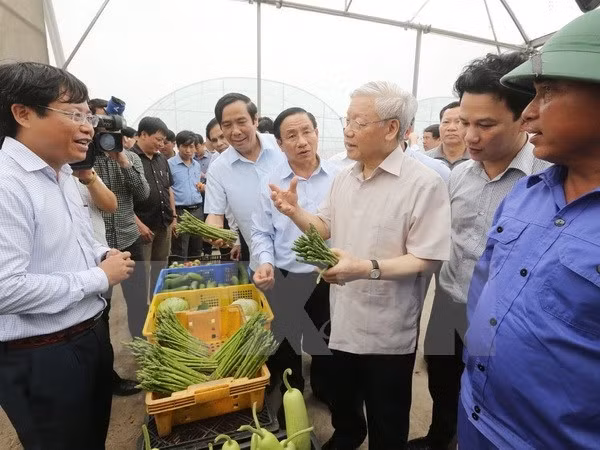 Le secrétaire général du PCV Nguyen Phu Trong à Ha Tinh ảnh 1