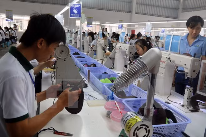 Les Vietnamiens répondent aux exigences des employeurs tchèques ảnh 1