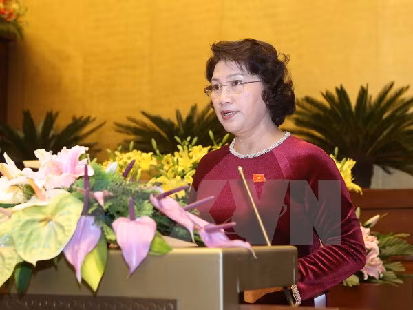 L’AN examine les listes des membres du CNE et du Conseil national de la défense et de la sécurité ảnh 1