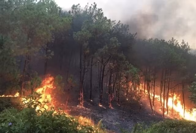 Le PM demande la mise en œuvre de mesures drastiques de prévention et de lutte contre les incendies de forêt ảnh 1
