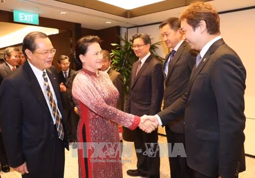 La présidente de l’AN rencontre des investisseurs singapouriens au Vietnam ảnh 1
