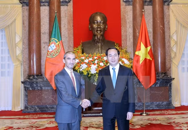 Le président du Vietnam reçoit de nouveaux ambassadeurs ảnh 7