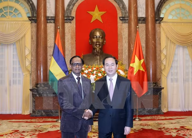 Le président du Vietnam reçoit de nouveaux ambassadeurs ảnh 6