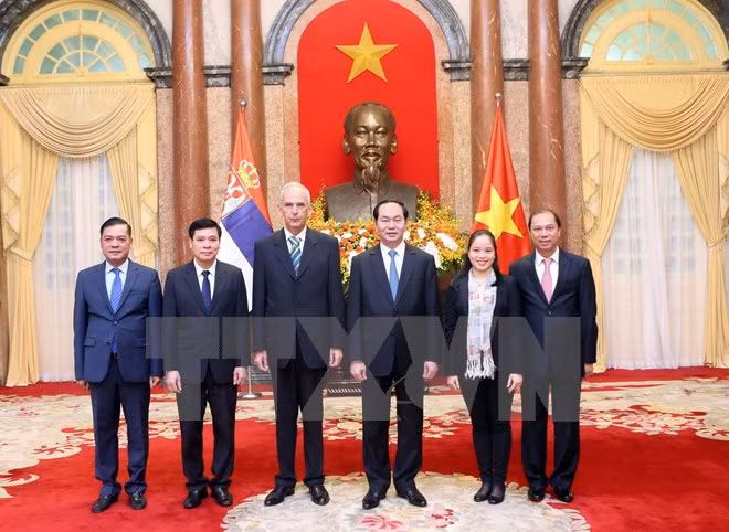 Le président du Vietnam reçoit de nouveaux ambassadeurs ảnh 3