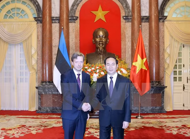 Le président du Vietnam reçoit de nouveaux ambassadeurs ảnh 8