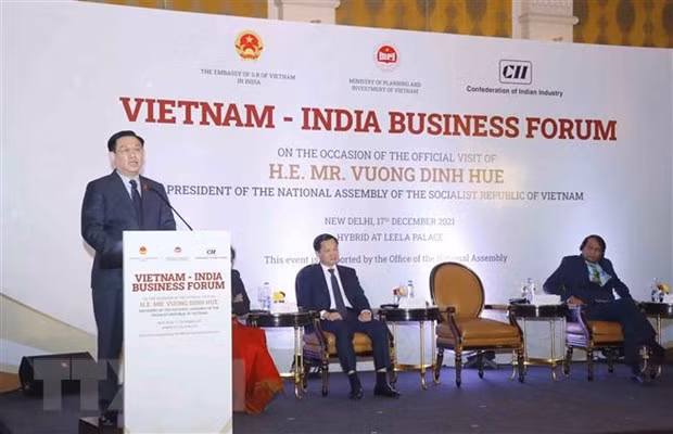 Le président de l’AN Vuong Dinh Huê au Forum d’entreprises Vietnam – Inde ảnh 2