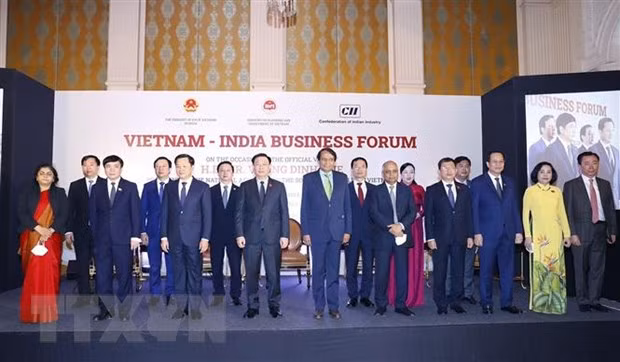 Le président de l’AN Vuong Dinh Huê au Forum d’entreprises Vietnam – Inde ảnh 1