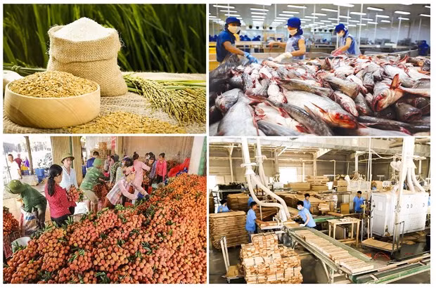 Exportation de produits agricoles: un record sans précédent ảnh 1