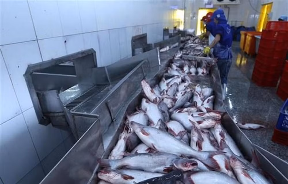 Aquaculture : Exportation de plus d’un millard de dollars en deux mois ảnh 1