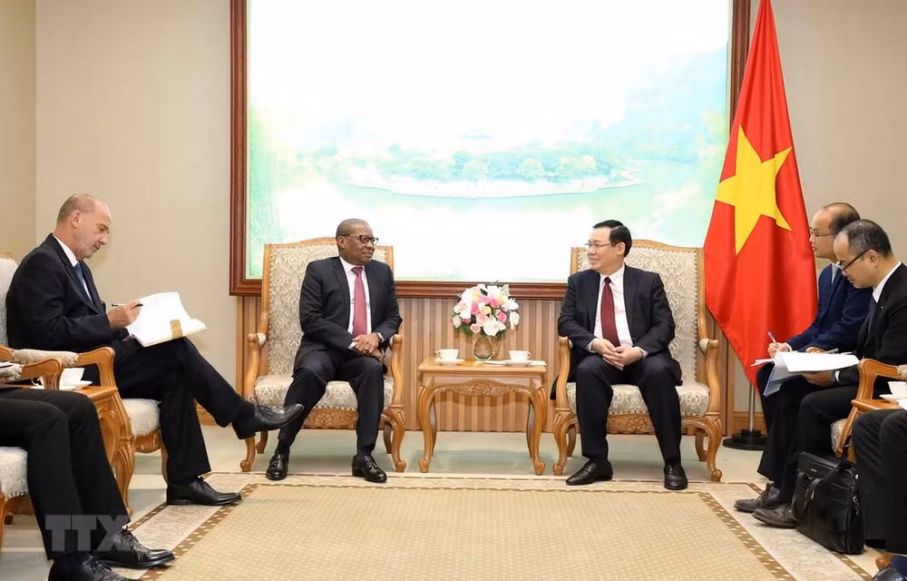 Le Vietnam resserre ses liens avec l’Afrique du Sud et le Nigeria ảnh 1
