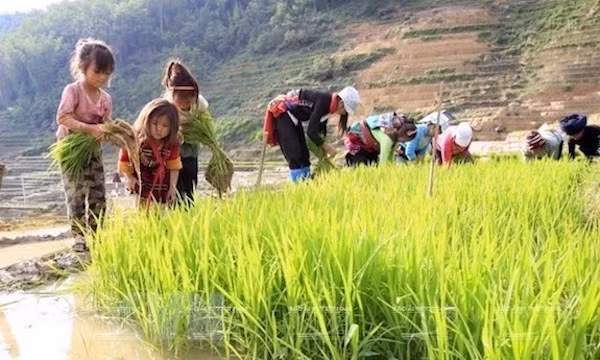 Dialogue sur les politiques liées au travail des enfants à Hanoi ảnh 1