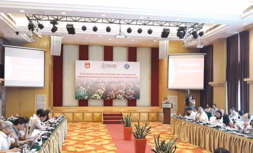 Bilan du projet pour le développement durable du café de Lâm Dông ảnh 1