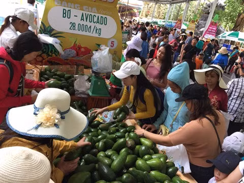 Promotion des exportations d'avocats vietnamiens vers les Etats-Unis ảnh 1 Promotion des exportations d'avocats vietnamiens vers les Etats-Unis ảnh 1
