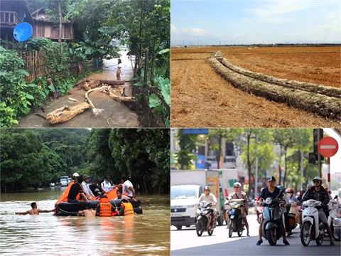 Changements climatiques: les impacts sur l'économie nationale ảnh 1