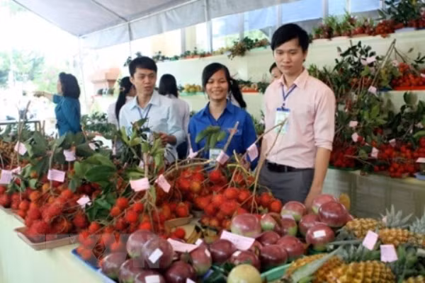 Aider les entreprises dans l’exportation des produits vers la R. de Corée ảnh 1