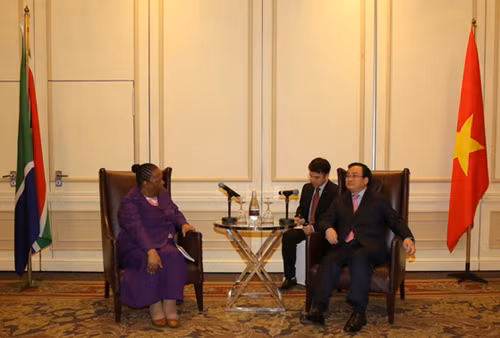 Sciences et technologies : potentiels de coopération Vietnam-Afrique du Sud ảnh 1