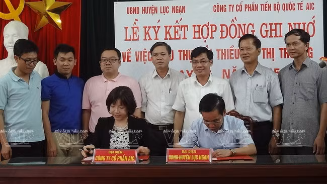 Les litchis vietnamiens à la conquête des marchés étrangers ảnh 4