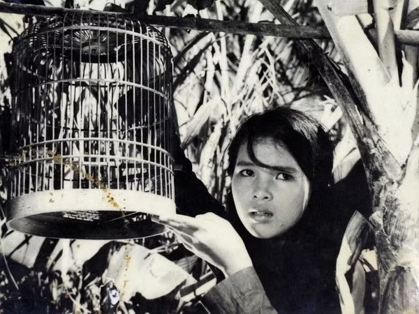 Ouverture d'une Semaine du film vietnamien au Paraguay ảnh 1