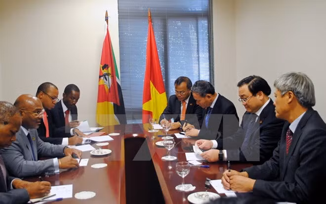 Le vice-PM Hoang Trung Hai termine sa visite officielle au Mozambique ảnh 1