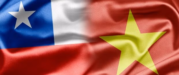 Vietnam et Chili renforcent leurs échanges ảnh 1