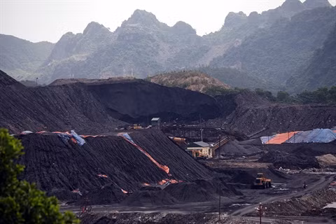 Importation de 5 millions de tonnes de charbon de l’Otran Energy ảnh 1