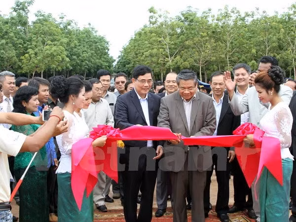 Les entreprises vietnamiennes de caoutchouc fonctionnent bien au Cambodge ảnh 1