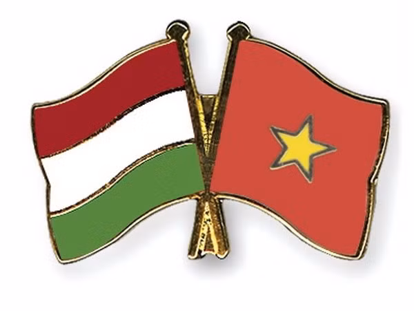 L’Association d’amitié Vietnam-Hongrie à l’honneur ảnh 1